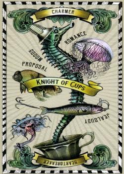 Extra Three additional Image